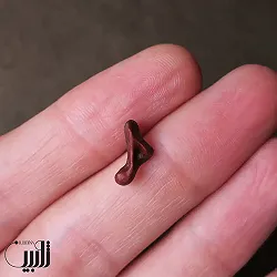 گوشواره چوبی تکی طرح نت موسیقی