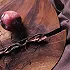 ظرف چوبی دکوراتیو طرح وابی سابی (تک نسخه)